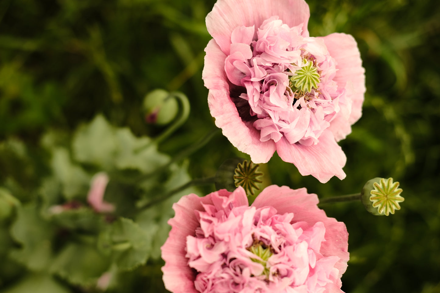 Naturnah. • Masterclass