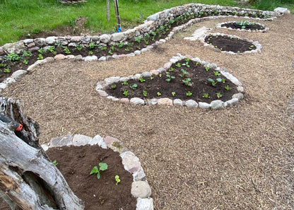 Naturnah. • Erfolgreich gärtnern - ohne Chemie