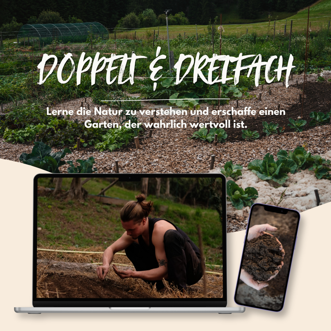 Doppelt & Dreifach