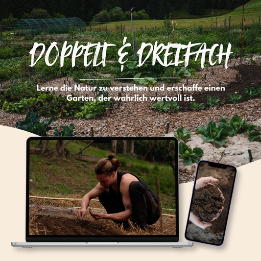 Doppelt & Dreifach