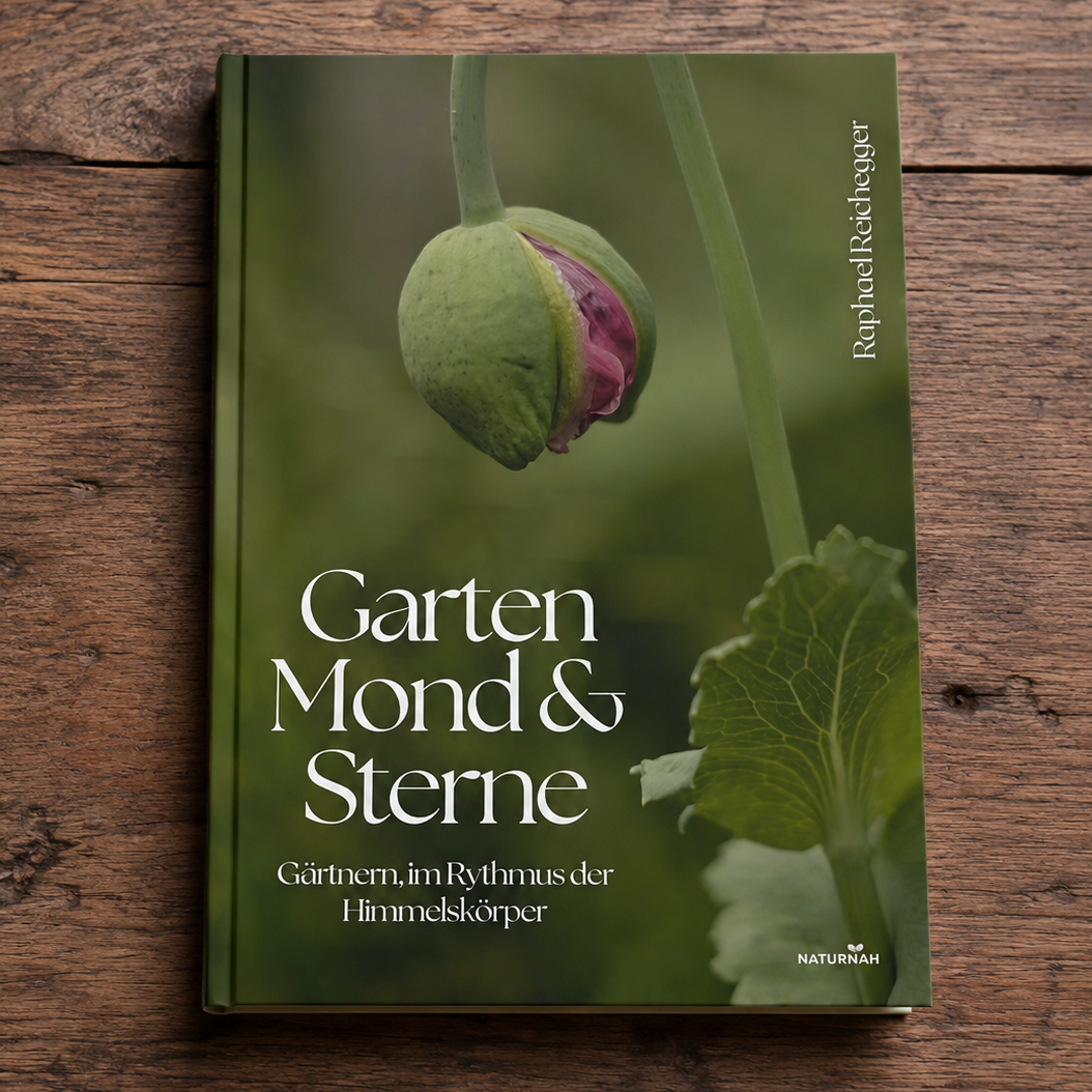 Garten, Mond und Sterne