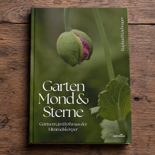 Garten, Mond und Sterne