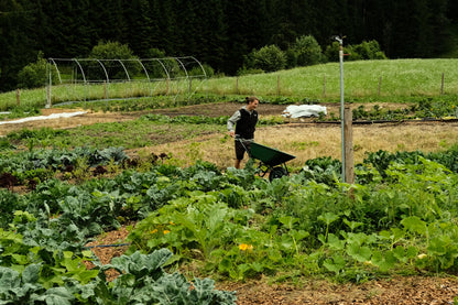 Naturnah. • Erfolgreich gärtnern - ohne Chemie