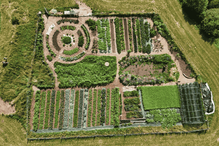 Naturnah. • Erfolgreich gärtnern - ohne Chemie