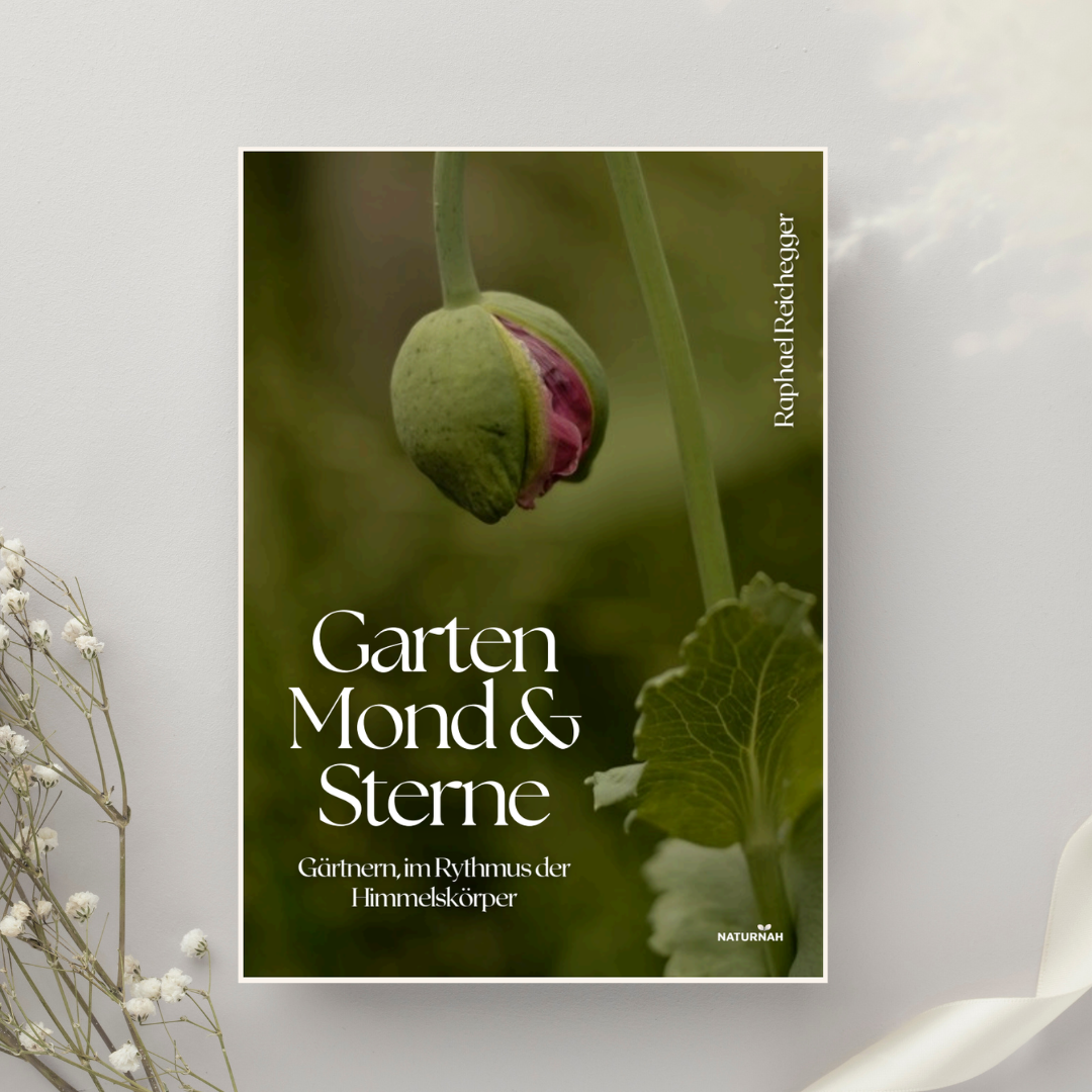 Garten, Mond und Sterne
