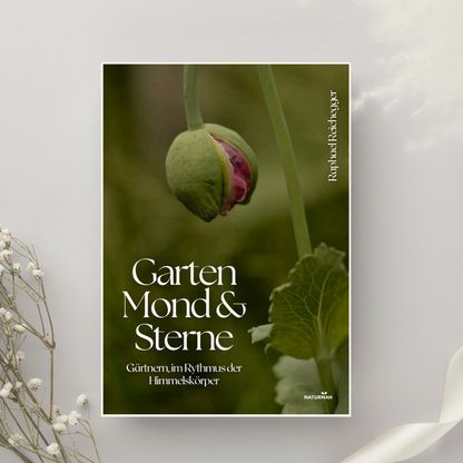 Garten, Mond und Sterne