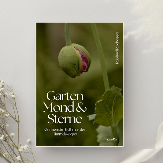 Garten, Mond und Sterne